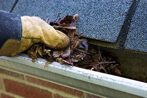 Roofs & Gutters